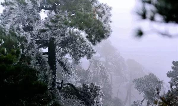 万词王